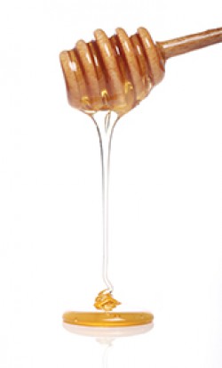 Miel de Bretagne 250G